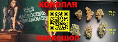 гидропоника Кингисепп